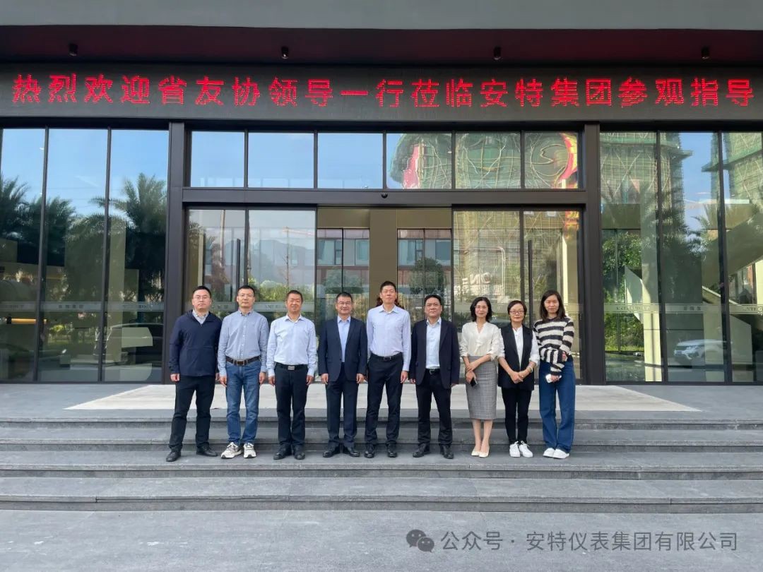 安特儀表集團(tuán)有限公司
